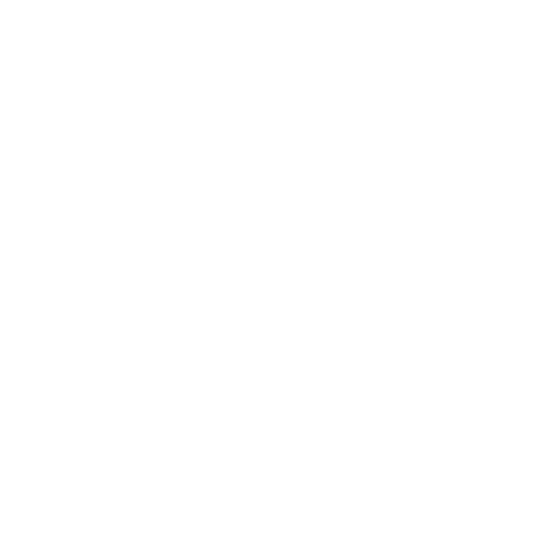 Tiktok Icon