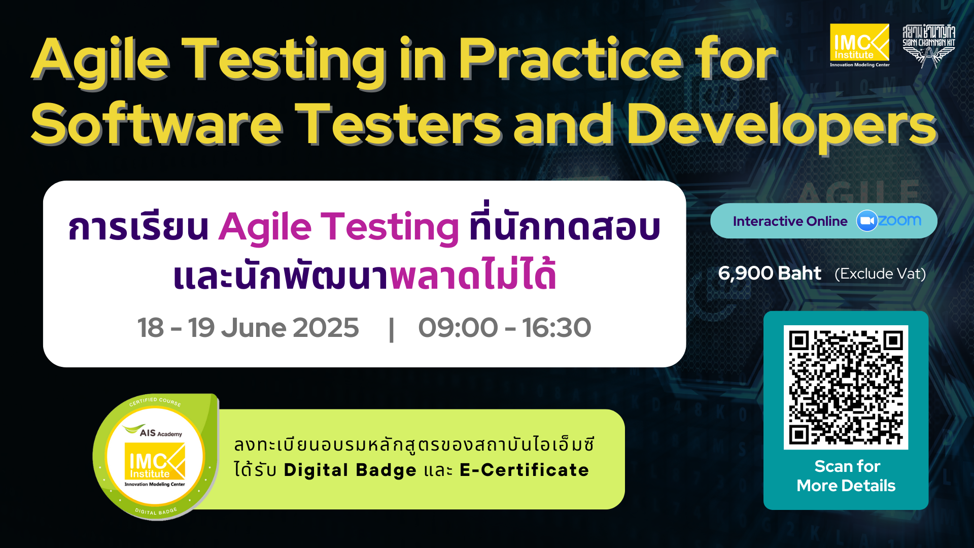 (Interactive Online) Agile Testing in Practice for Software Testers and Developers